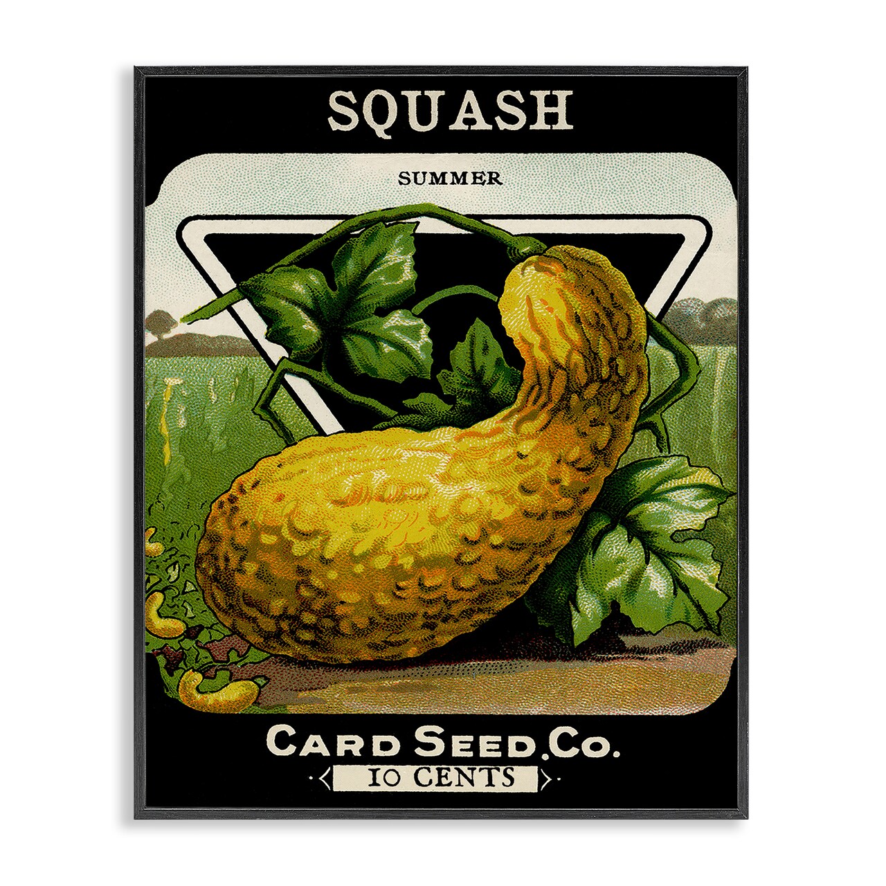 Stupell Industries Vintage Garden Squash Framed Giclee Design by Lil' Rue